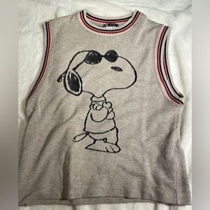 Zara Sweaters | Zara Snoopy Sweater Vest